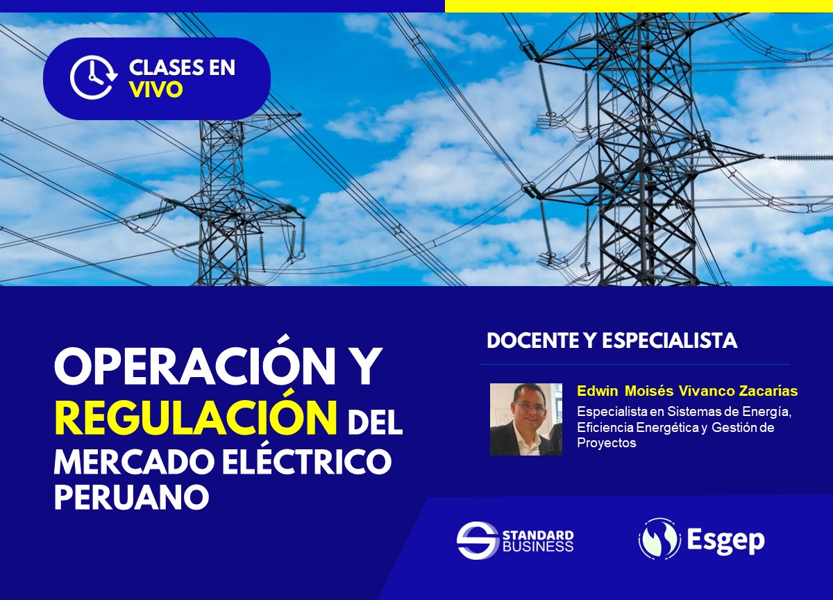 OPERACIÓN Y REGULACIÓN DEL MERCADO ELÉCTRICO PERUANO